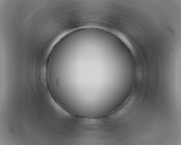 X0000114131100200910221459