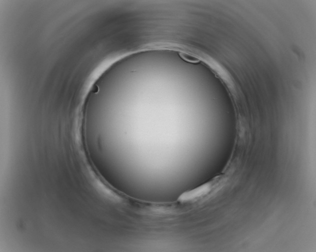 X0000114131102200910221459