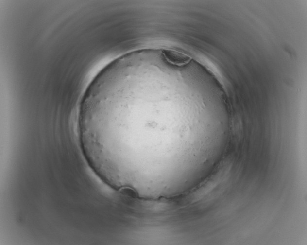 X0000114131103200910221459