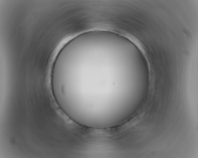 X0000114131104200910221459