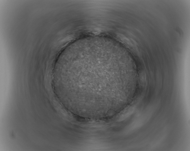 X0000114131105200910221458