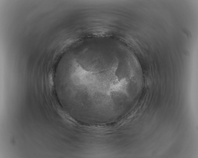 X0000114131106200910221458