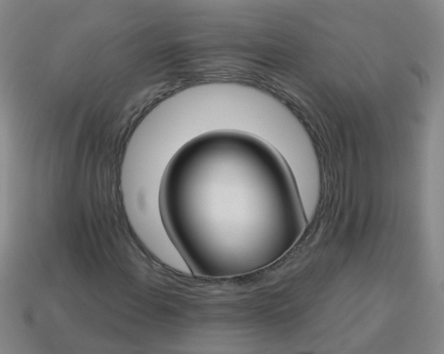 X0000114131108200910221458