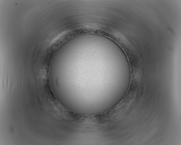 X0000114131110200910221458