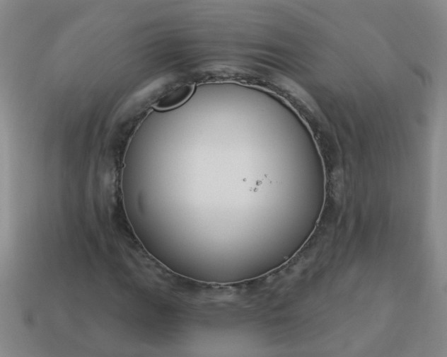 X0000114131111200910221458