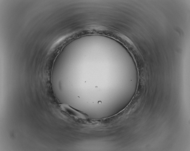 X0000114131112200910221459