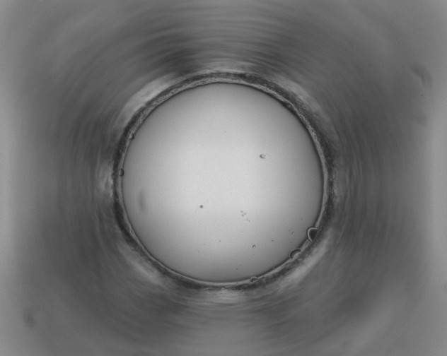 X0000114131113200910221459