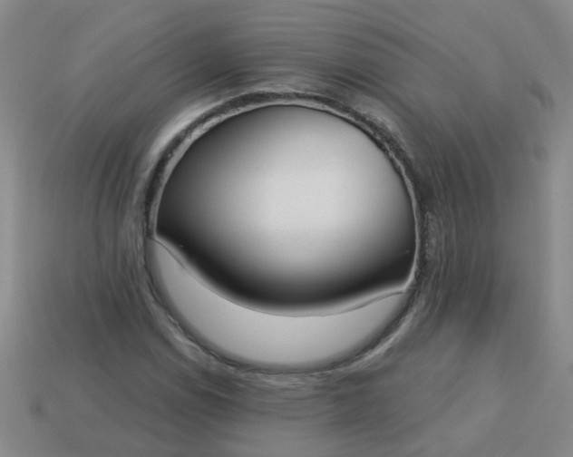 X0000114131114200910221459