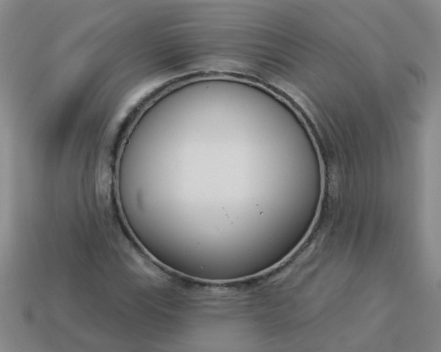 X0000114131115200910221459