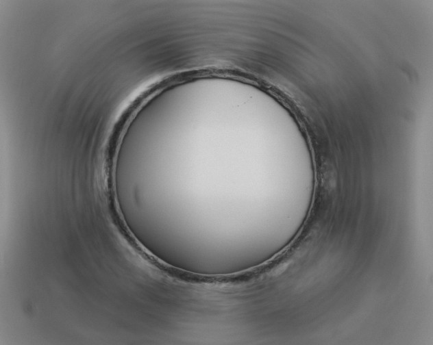 X0000114131118200910221459