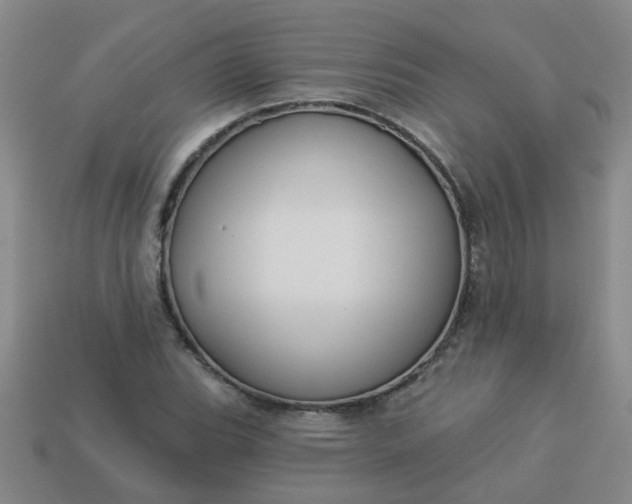 X0000114131119200910221459