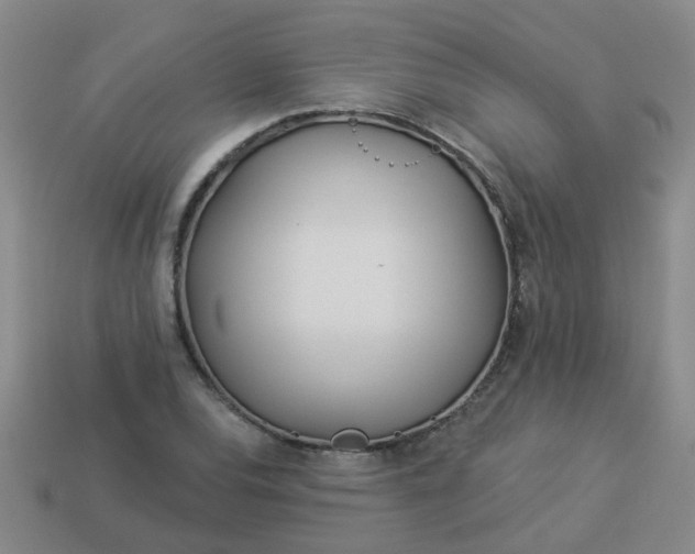 X0000114131120200910221459