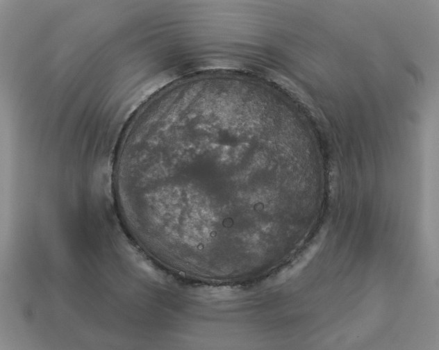 X0000114131121200910221459