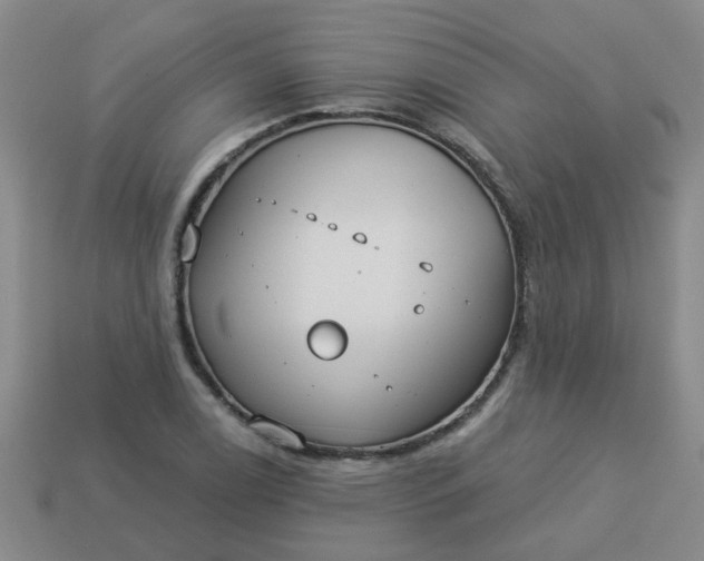 X0000114131122200910221459