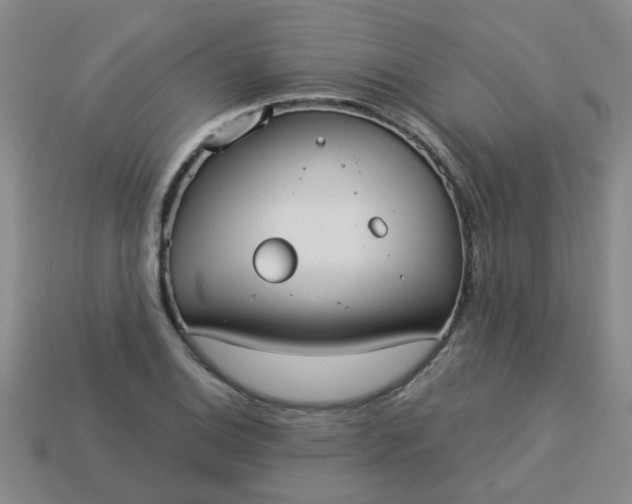 X0000114131124200910221459