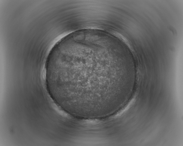 X0000114131125200910221459