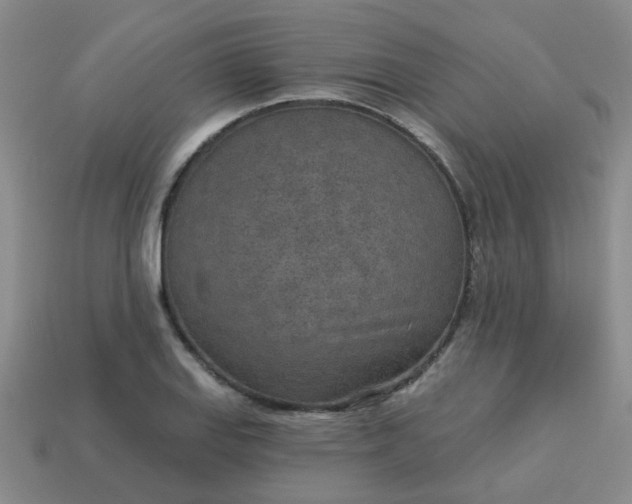 X0000114131127200910221459