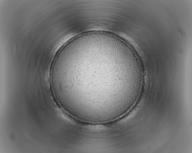 X0000114131129200910221459