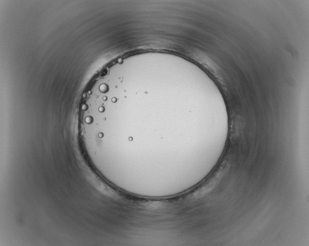 X0000114131130200910221459