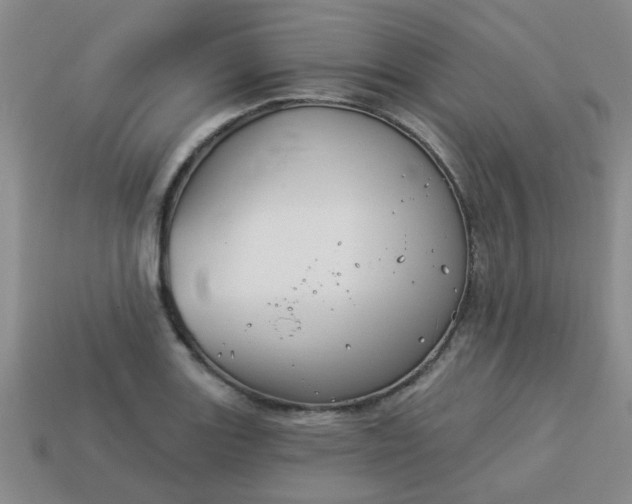 X0000114131131200910221459