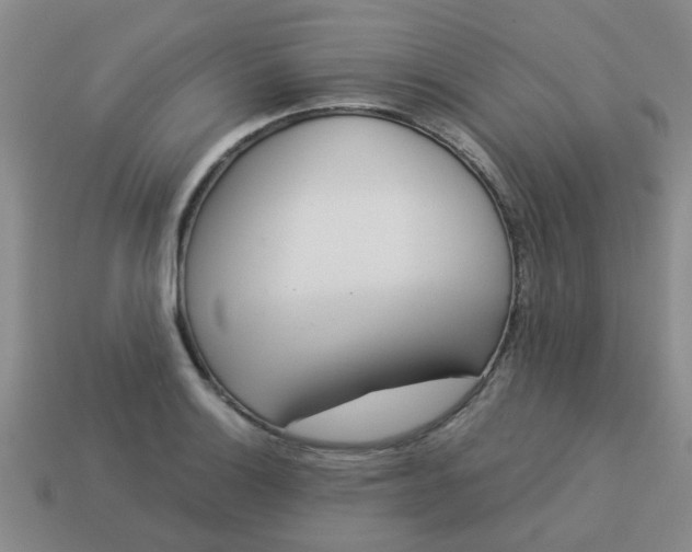 X0000114131132200910221459