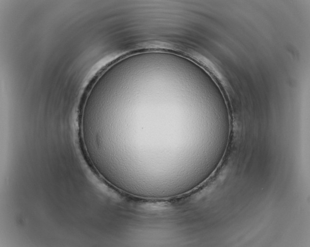 X0000114131133200910221459