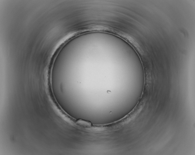 X0000114131134200910221459