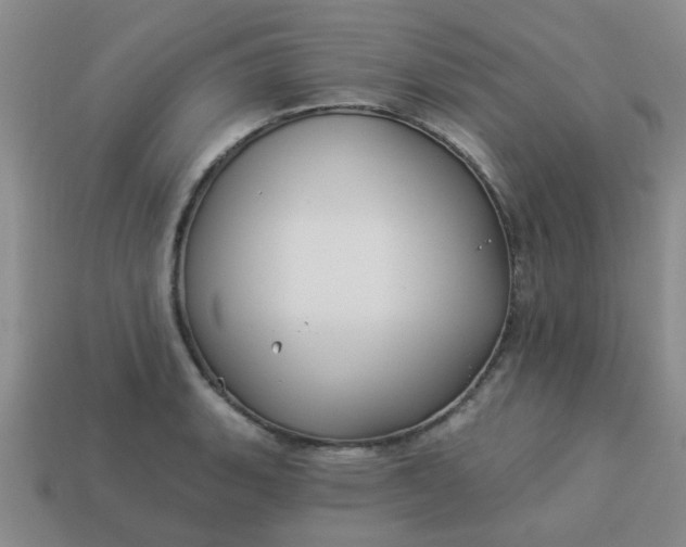 X0000114131135200910221459