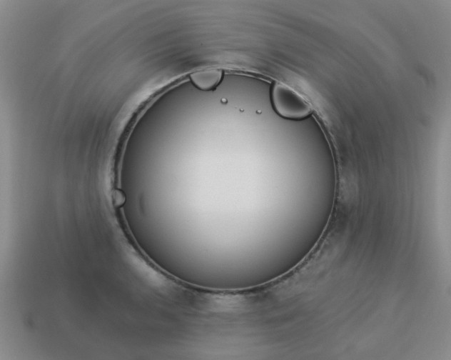 X0000114131136200910221459