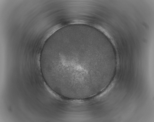 X0000114131137200910221459