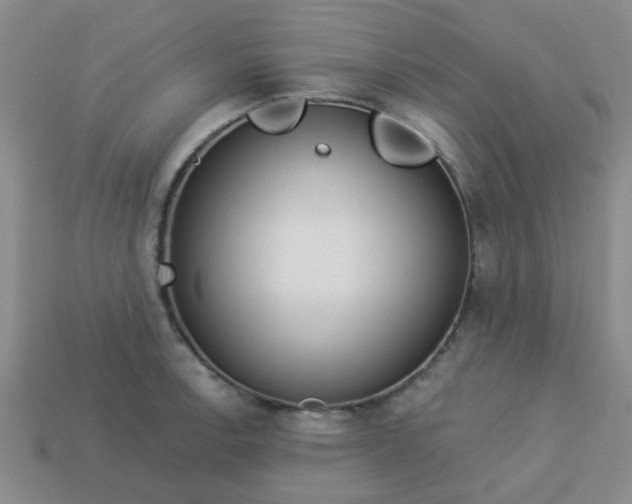 X0000114131138200910221459