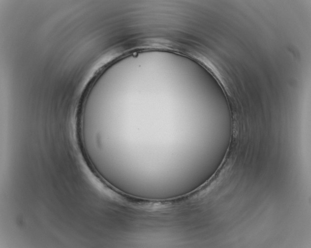 X0000114131139200910221459