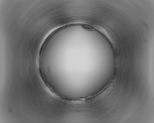 X0000114131140200910221459