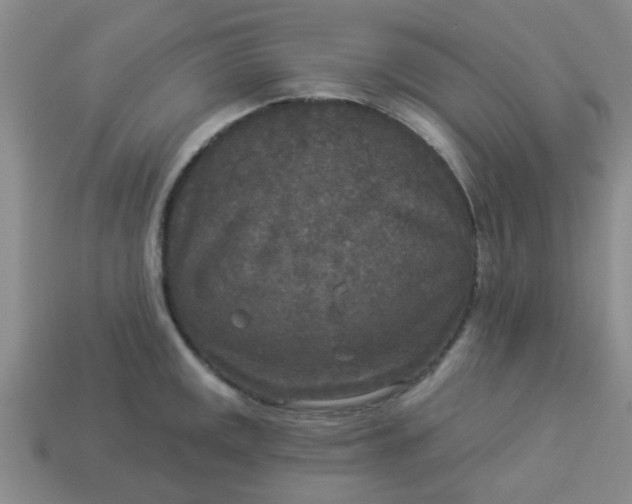 X0000114131141200910221459