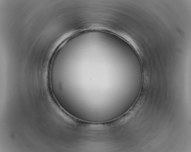 X0000114131142200910221459