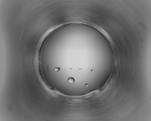 X0000114131144200910221459