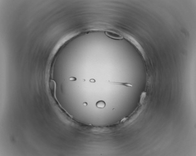 X0000114131146200910221459