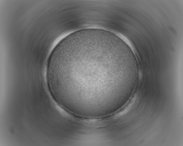 X0000114131149200910221459