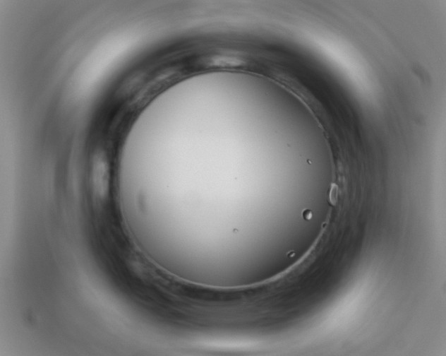 X0000114131151200910221459