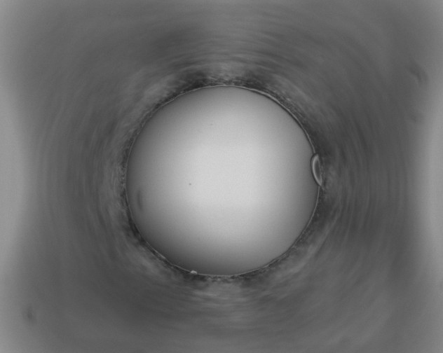 X0000114131153200910221458