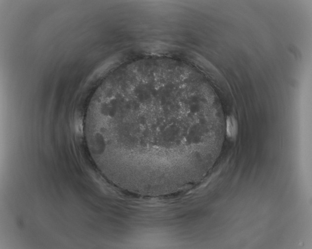 X0000114131155200910221458