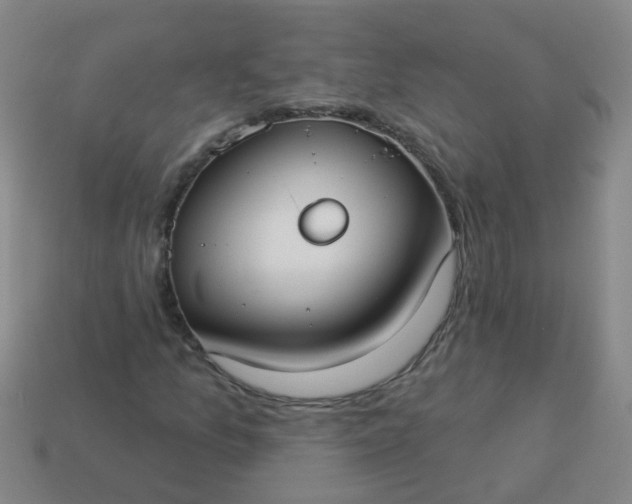 X0000114131157200910221458