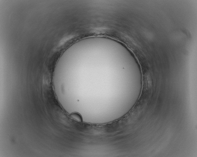 X0000114131158200910221458