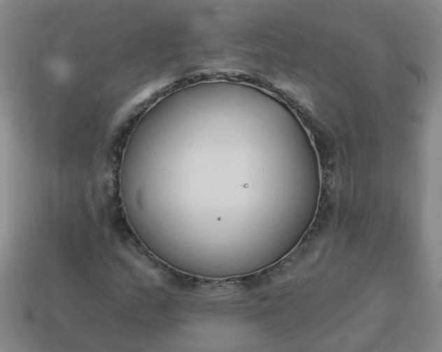 X0000114131159200910221458