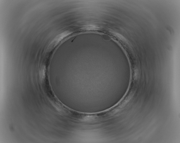 X0000114131161200910221458