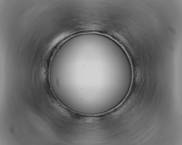 X0000114131163200910221458