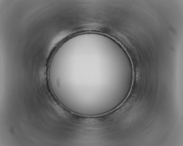 X0000114131164200910221458