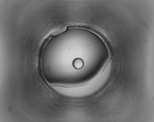 X0000114131165200910221458