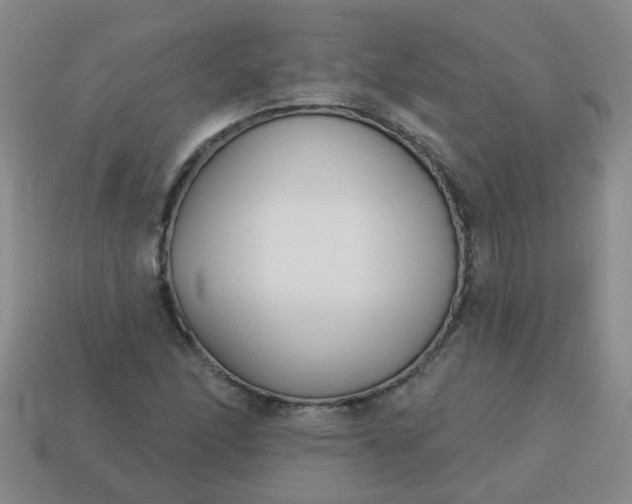 X0000114131166200910221458