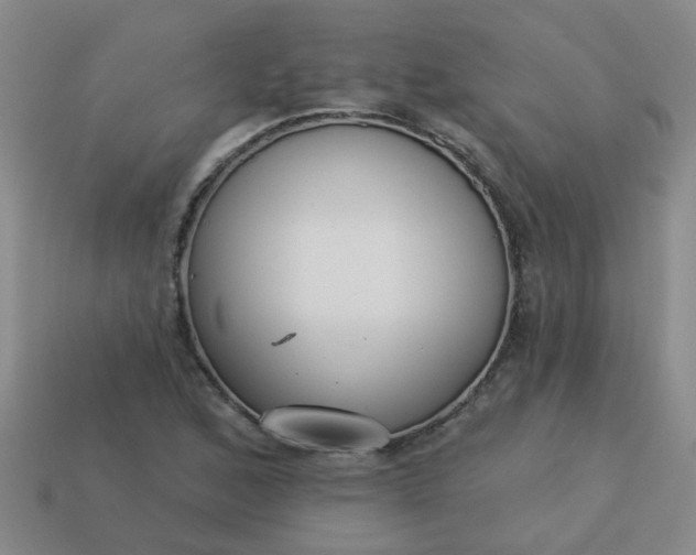 X0000114131168200910221458